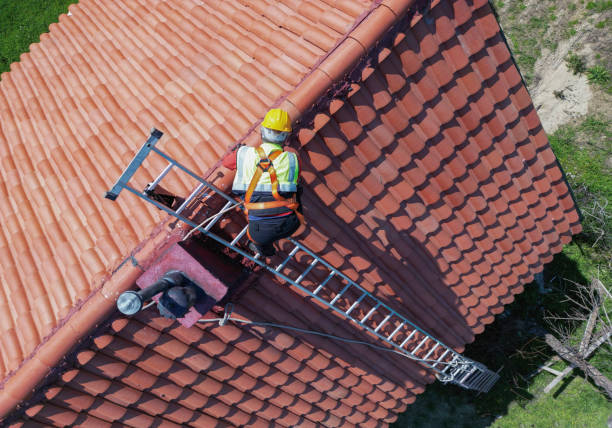 Best Storm Damage Roof Repair  in Woodland Heights, PA